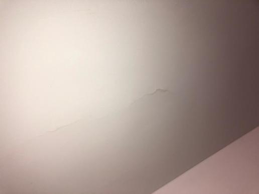 Recherche cause fissure plafond - rebouchage - protection - peinture - 1