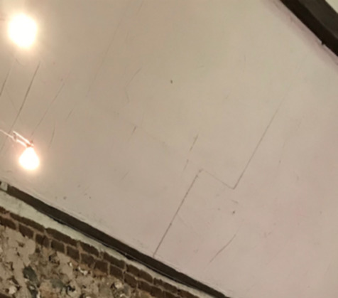 Rnovation peinture plafond cathdrale - 1