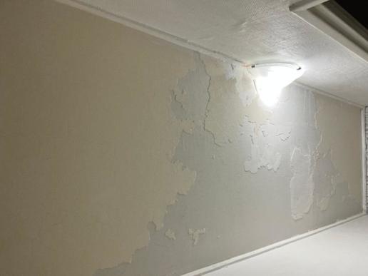 Peinture mur et plafonds - 1