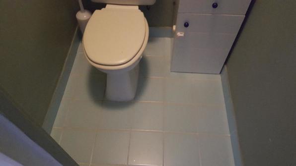 Changement des wc et du carrelage des toilettes - 1